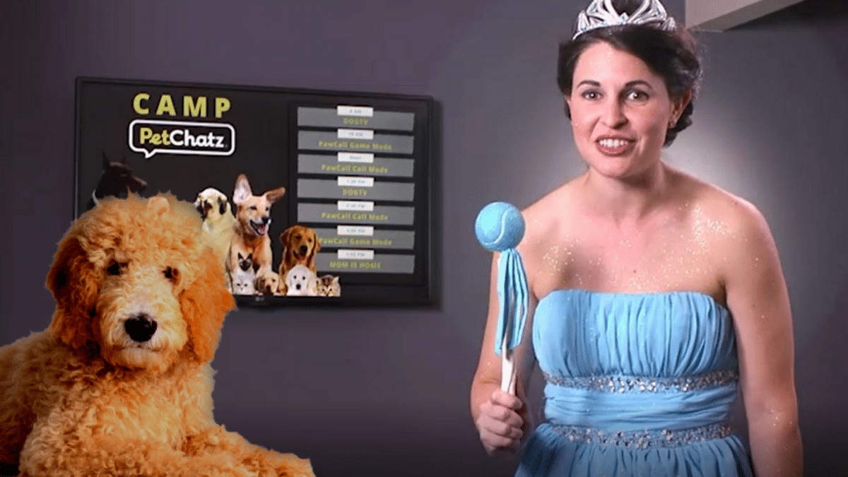 Camp PetChatz Digital Day Care for the home dog and cat