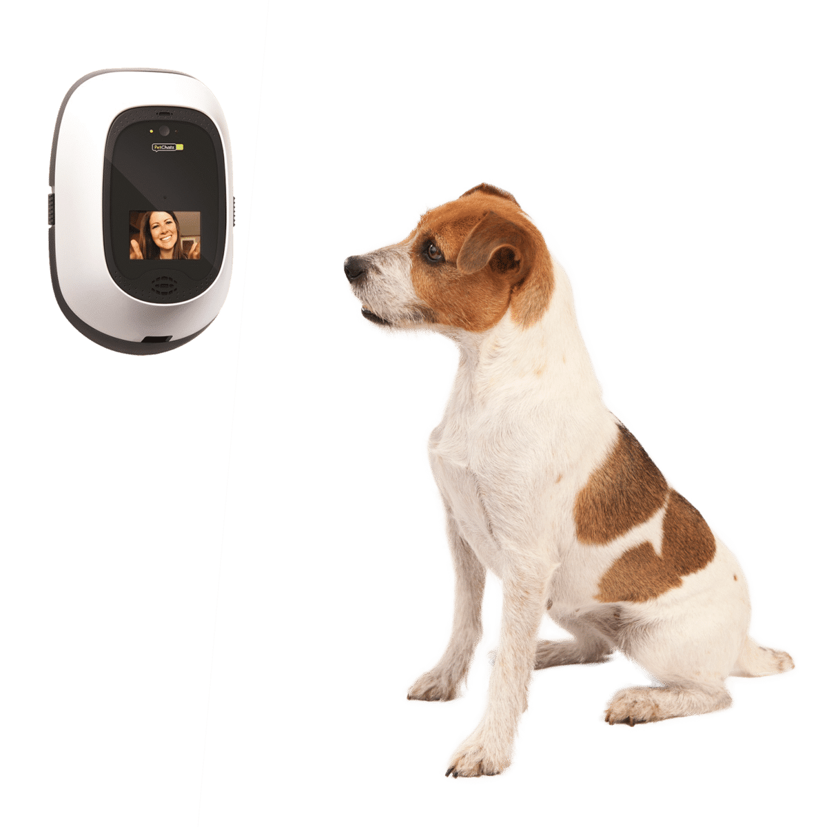 Interactive Pet Camera • Best Dog Camera 2020 • PetChatz®