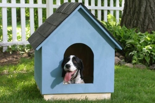 diy dog house, dog home, build your own dog house, how to build a dog house, dog home,
