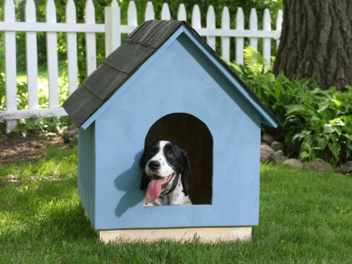 diy dog house, dog home, build your own dog house, how to build a dog house, dog home,